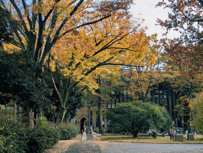 文京区の禅体験・リトリートガイド。学者町の坂と庭園が育む、知的孤独という静寂