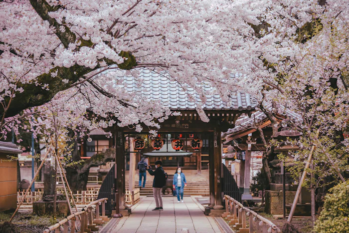 文京区の神社・寺院ガイド。学問の神と格式高い社が支える、東京の学業成就の聖域