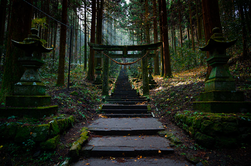 Meiji Jingu as a Third Place: Finding Silence in Central Tokyo