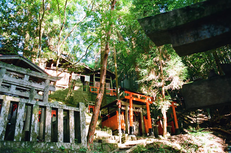 青梅市のサードプレイスガイド：神社・寺院編。山そのものを拝む、修験の系譜が息づく信仰の峰 | サードプレイスジャパン編集部